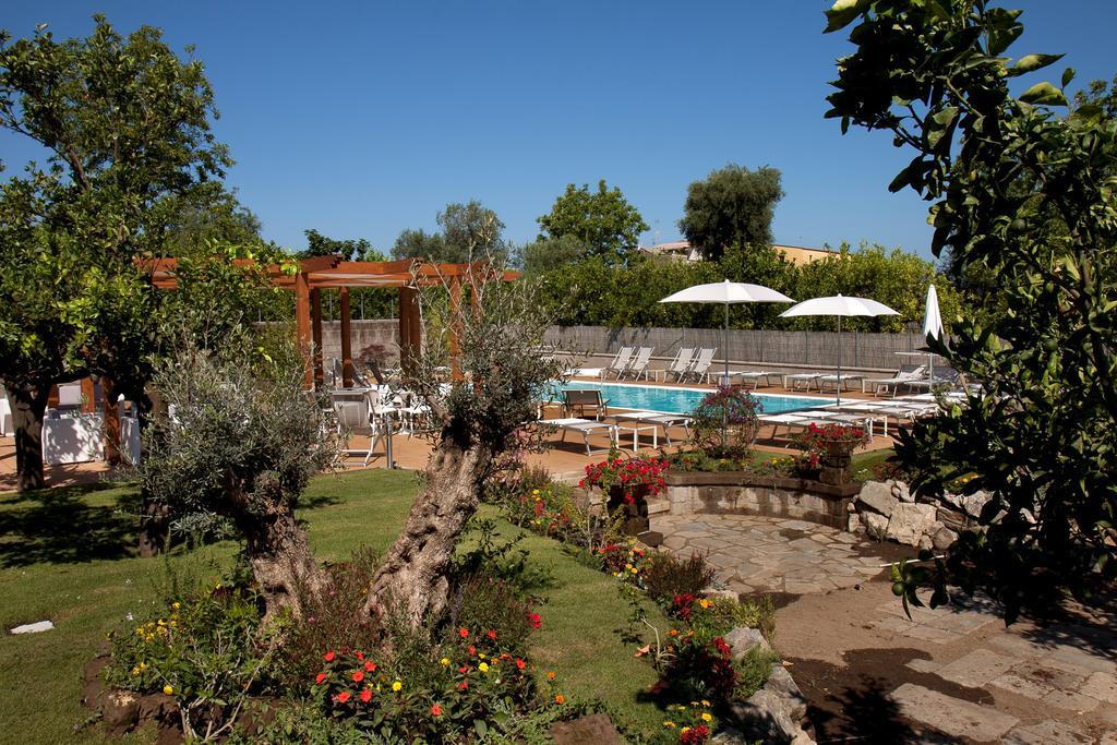 Il Roseto Bed & Breakfast Sorrento Ngoại thất bức ảnh